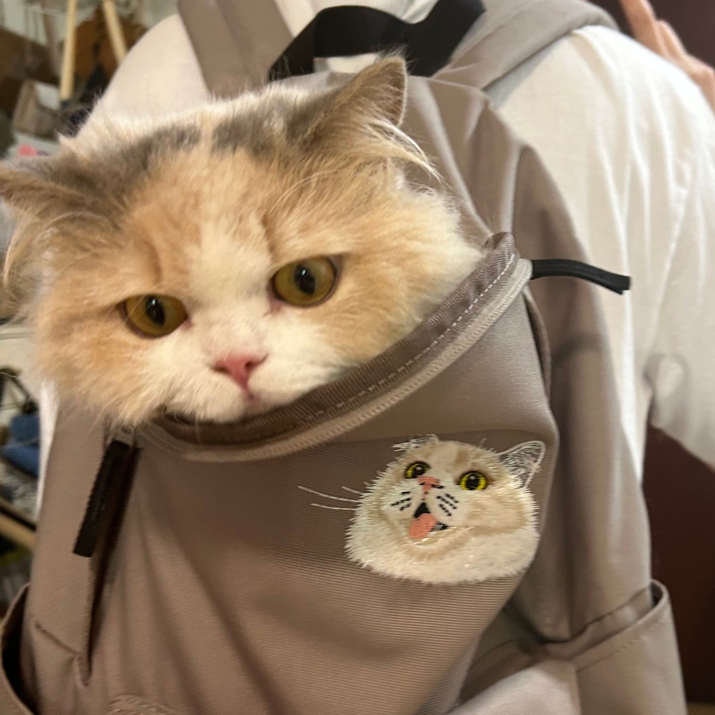 客製化寵物刺繡後背包