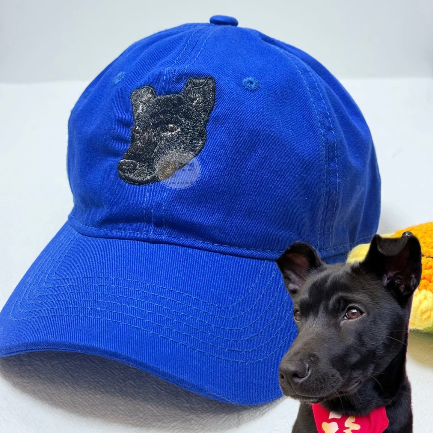 客製化寵物刺繡棒球帽