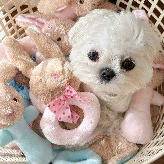 No.340【寵物玩具】可愛小兔子幼犬小狗搖鈴發聲玩具