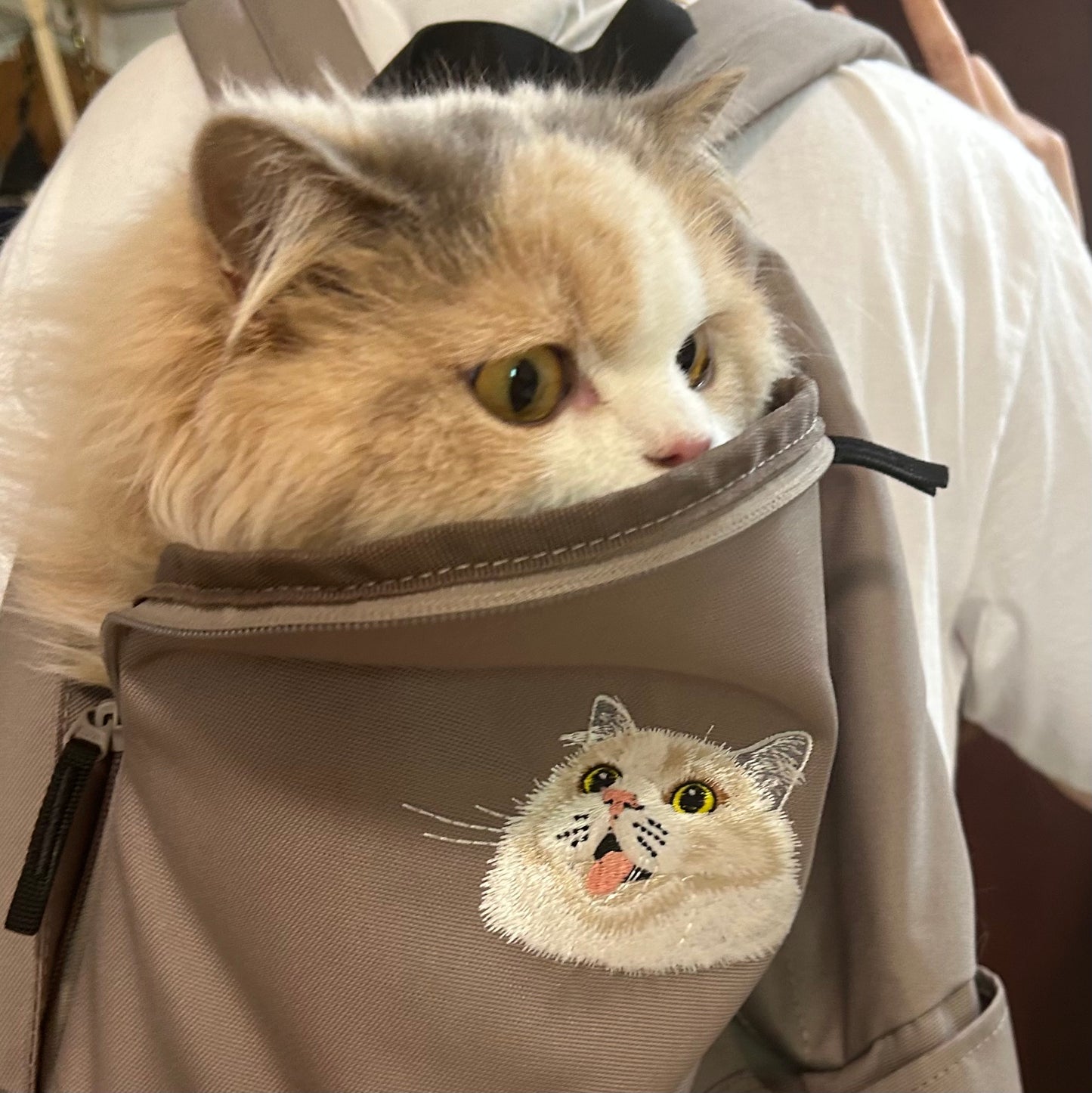 客製化寵物刺繡後背包