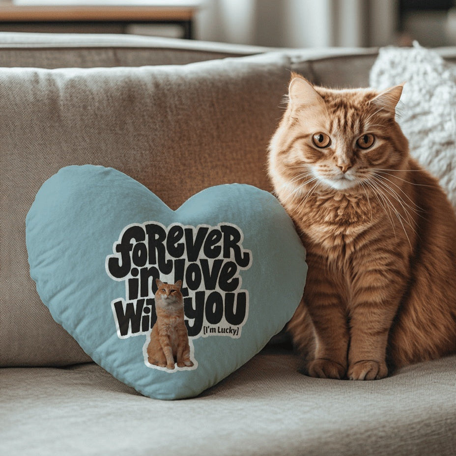 客製化寵物抱枕｜照片轉印專屬設計｜客製送禮推薦