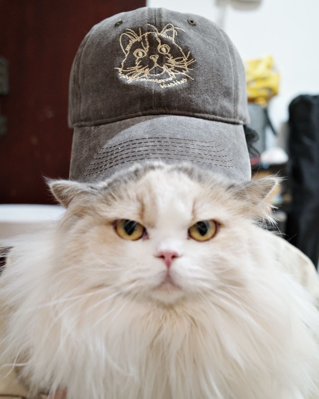 線稿風格寵物刺繡介紹