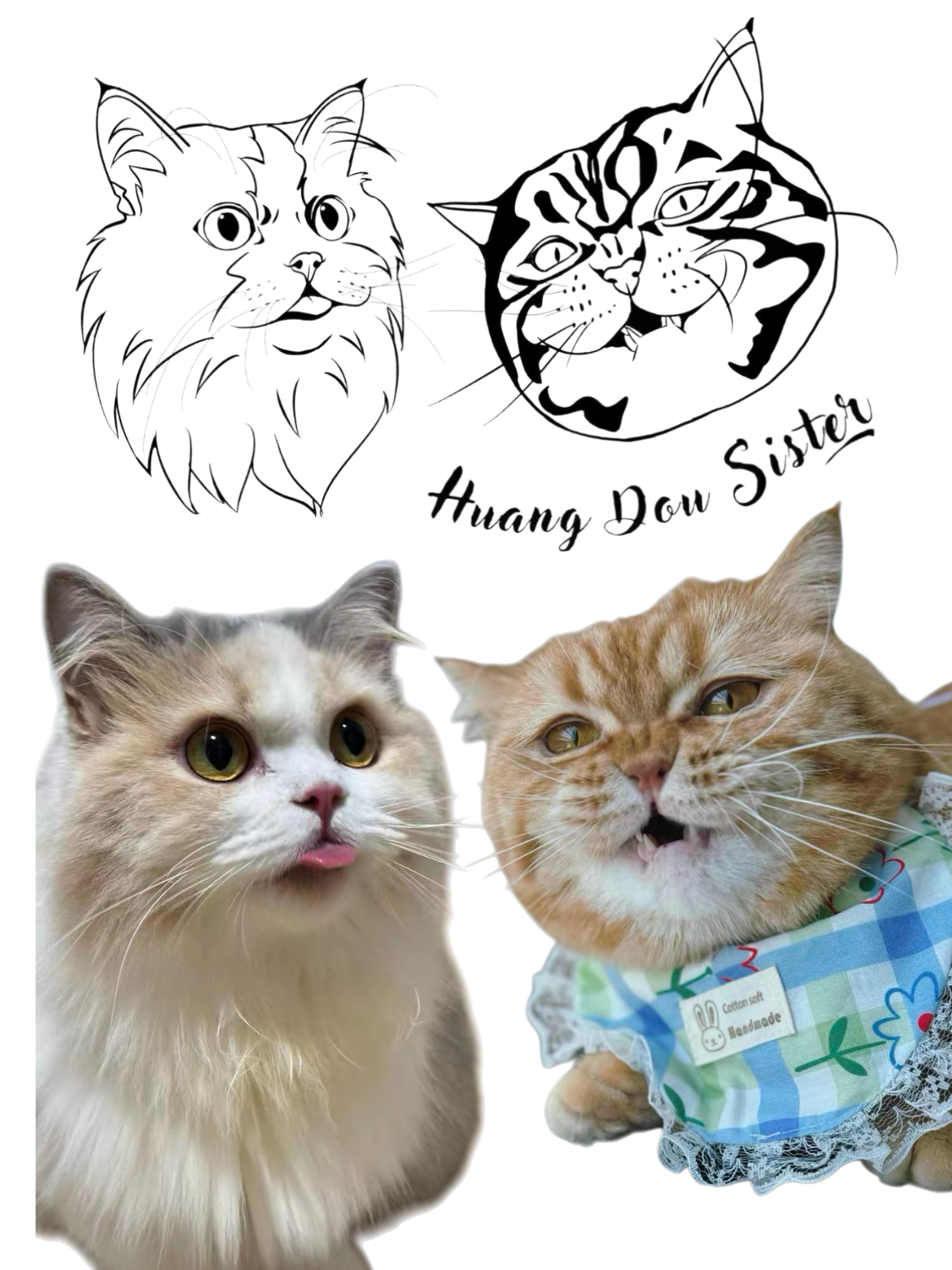 線稿風格寵物刺繡介紹