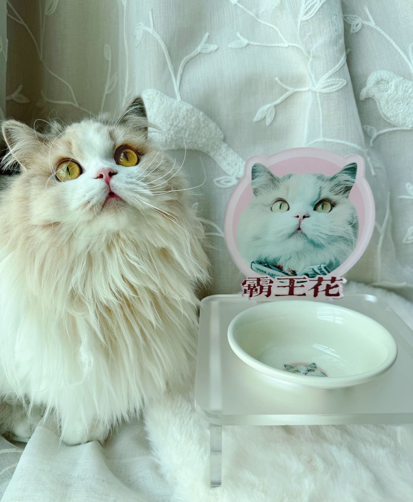 客製化寵物壓克力碗架套組霧面款