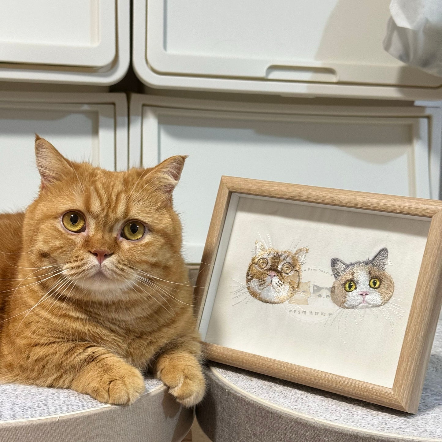 客製化毛孩刺繡相框