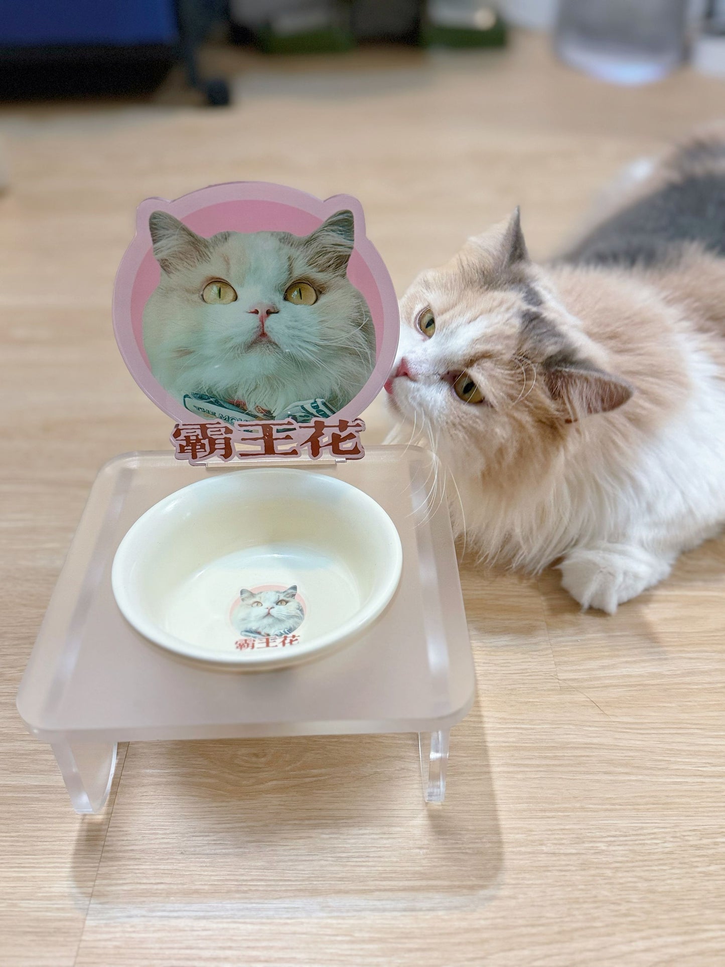 客製化寵物壓克力碗架套組霧面款