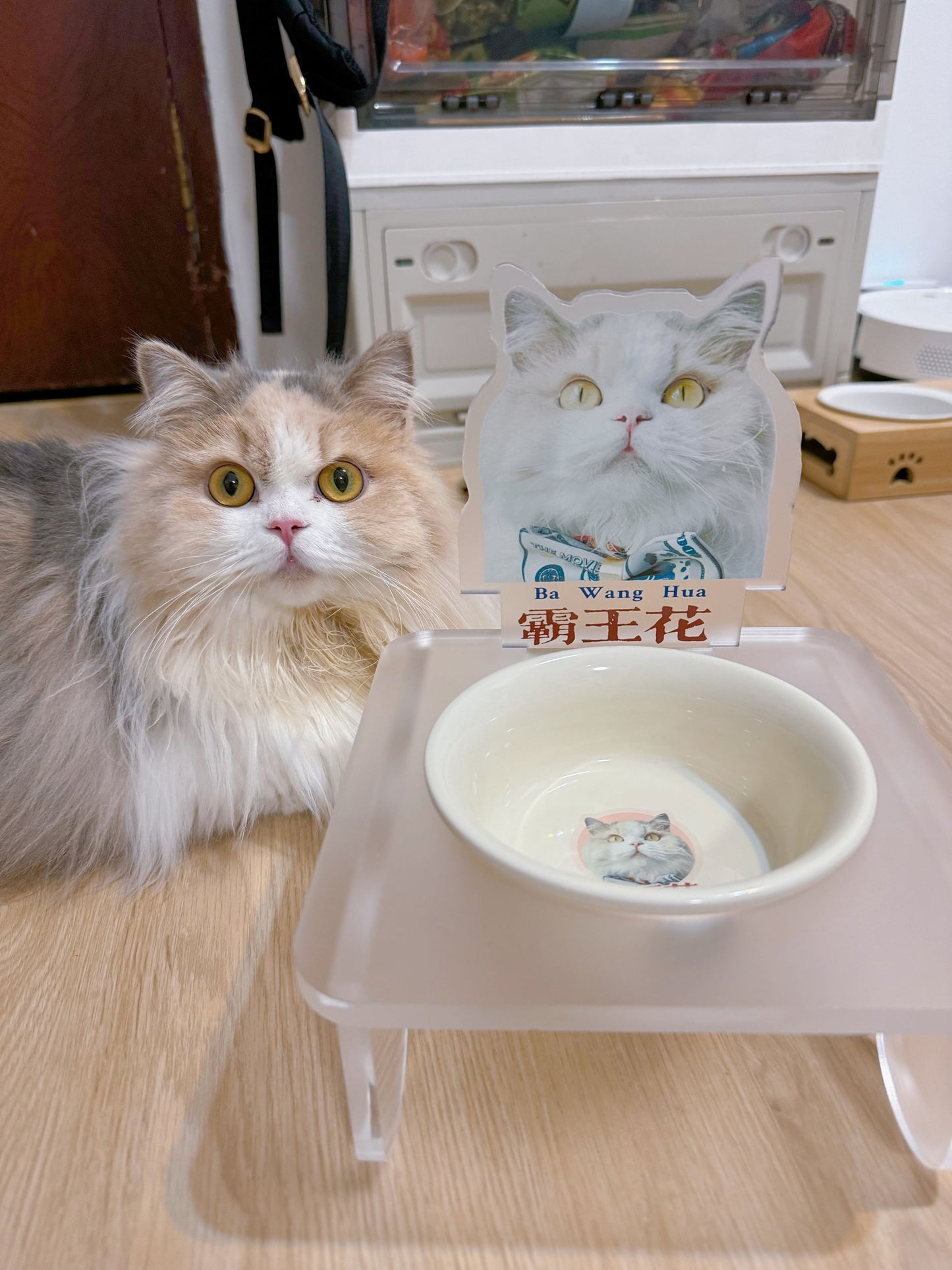 客製化寵物壓克力碗架套組霧面款