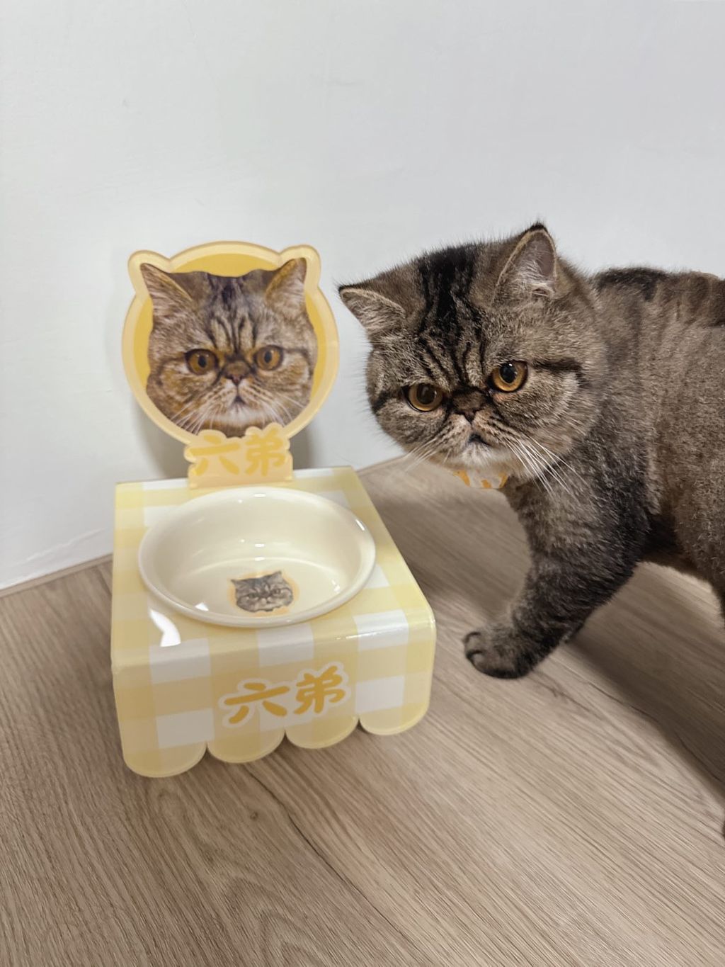 客製化寵物壓克力碗架套組彩印款