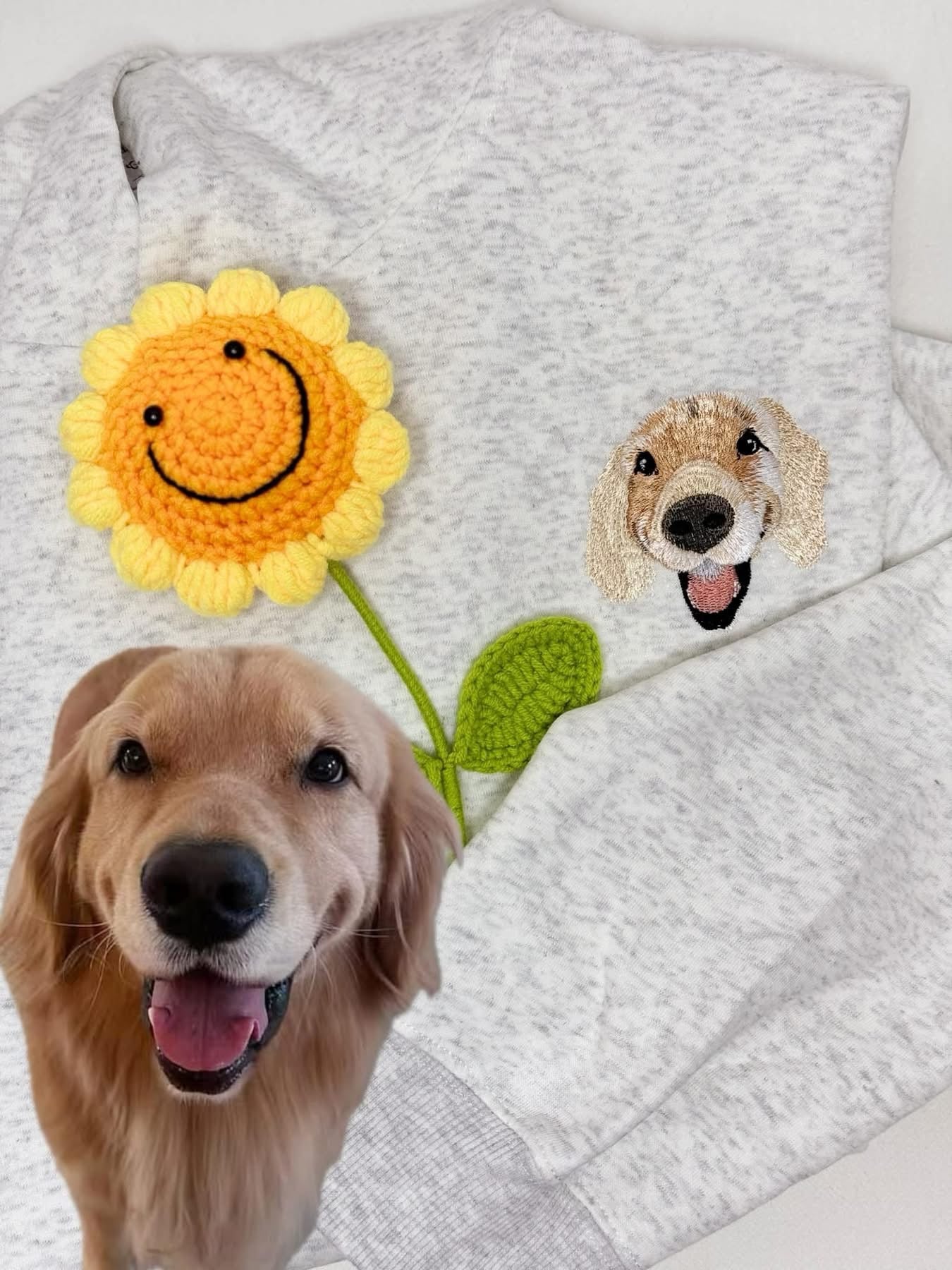 客製化毛孩刺綉大學帽T