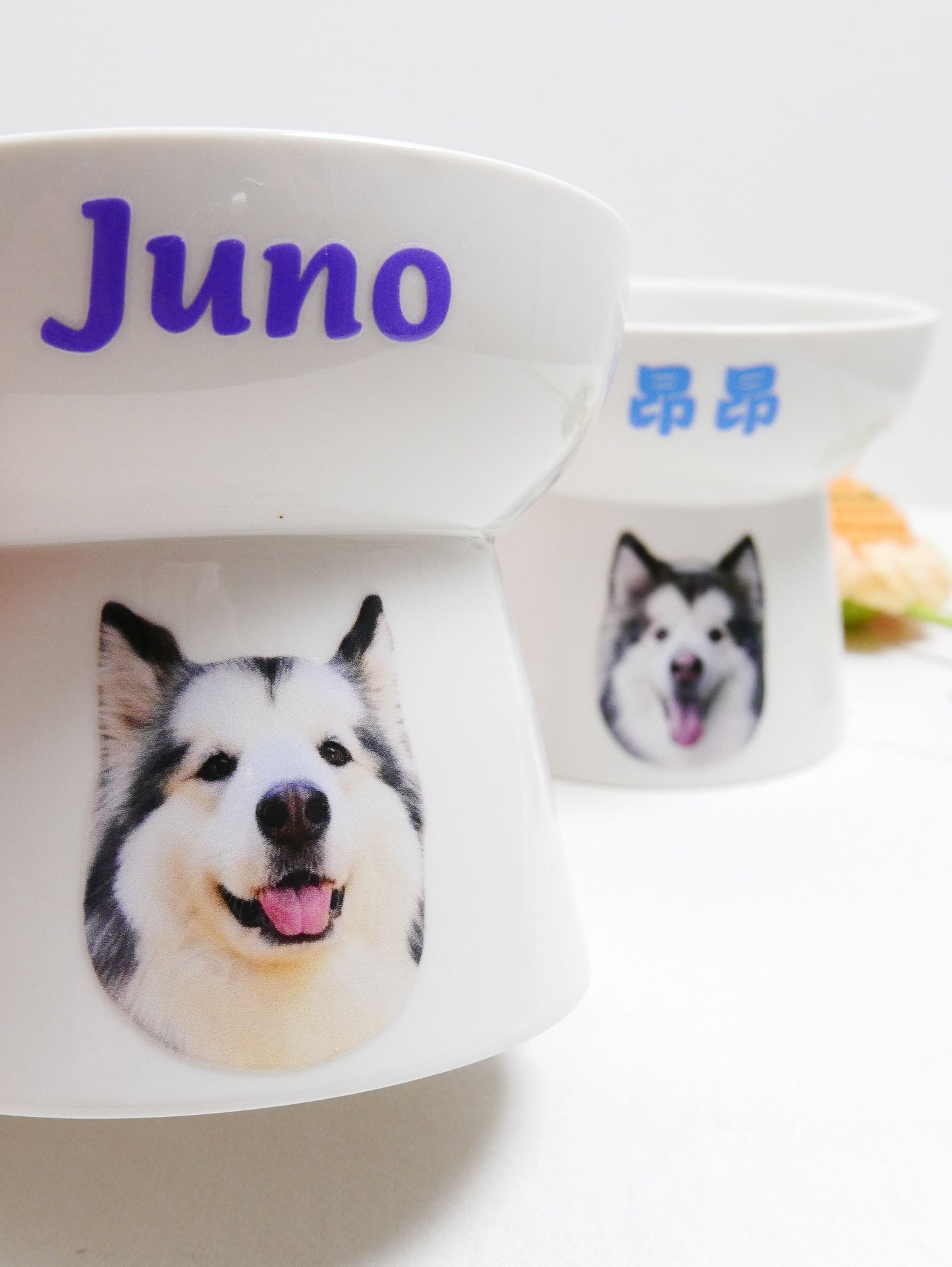 客製化陶瓷碗（電腦印刷款）