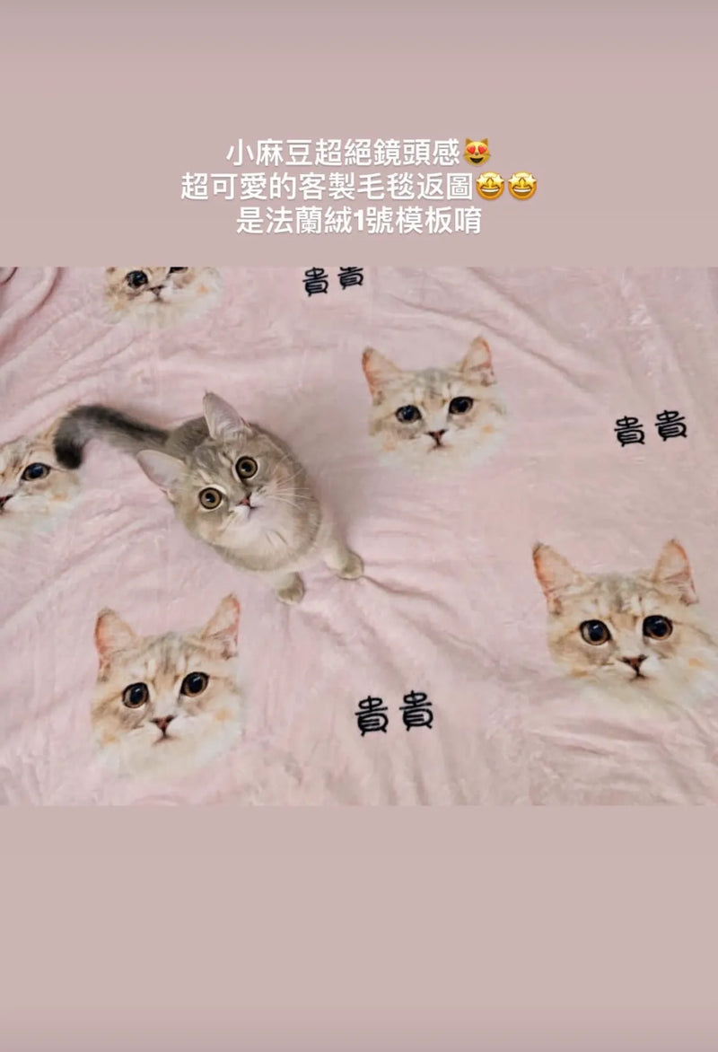 客製化訂製寵物圖案毛毯 情境圖