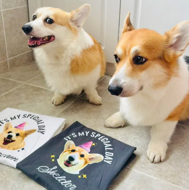 客製化訂製寵物圖案熱轉印T恤